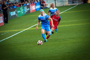 中国篮球职业联赛俱乐部财务风险管理，篮球俱乐部财务制度